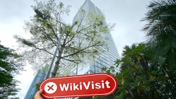 印尼实地探访外汇交易商Regis capital 不存在真实展业场所