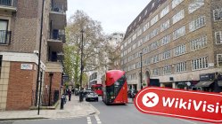 THE TORO GLOBAL Reino Unido  Verificado:  No se encontró presencia física