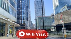 NEXGENOPTION Reino Unido  Verificado:  No se encontró presencia física