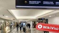 XENON Birleşik Krallık  Doğrulandı:  Fiziksel Varlık Bulunamadı