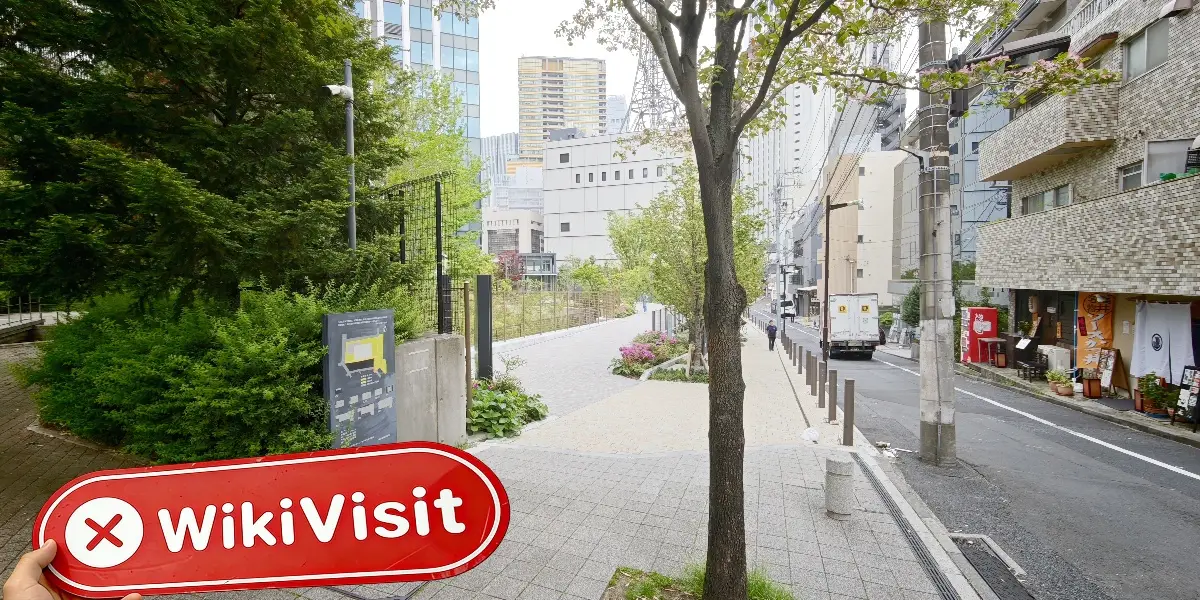 CONCEPT LTD Trade MT5 Japan  Verified:  No Physical Presence Found