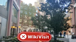 Bull Trade Club Reino Unido Verificado: No se encontró presencia física
