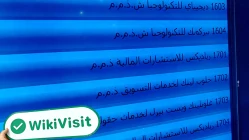 RIYADEX FINANCIALS Emirati Arabi Uniti  Verificato: Ufficio Operativo Confermato