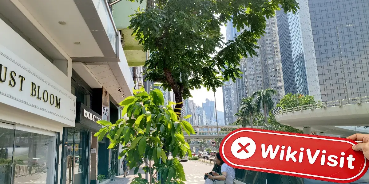 minzhong Hong Kong  تصدیق شدہ:  کوئی جسمانی موجودگی نہیں ملی