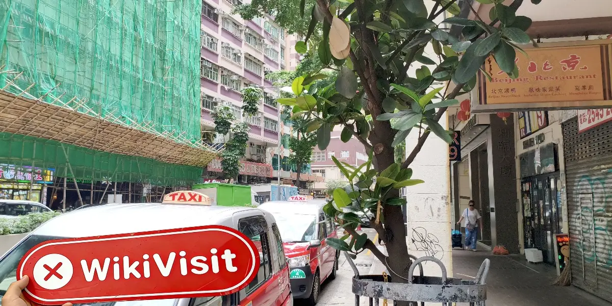 Macking Financial Hongkong  Bestätigt:  Kein physischer Standort gefunden