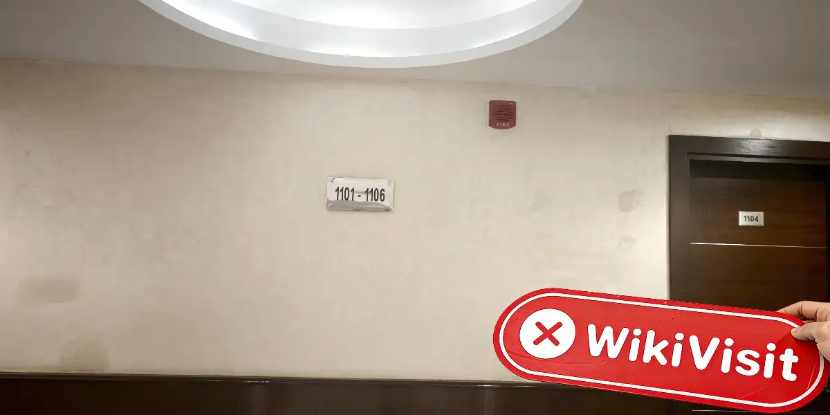 FINOWIZ الإمارات العربية المتحدة  تم التحقق:  لا يوجد تواجد فعلي