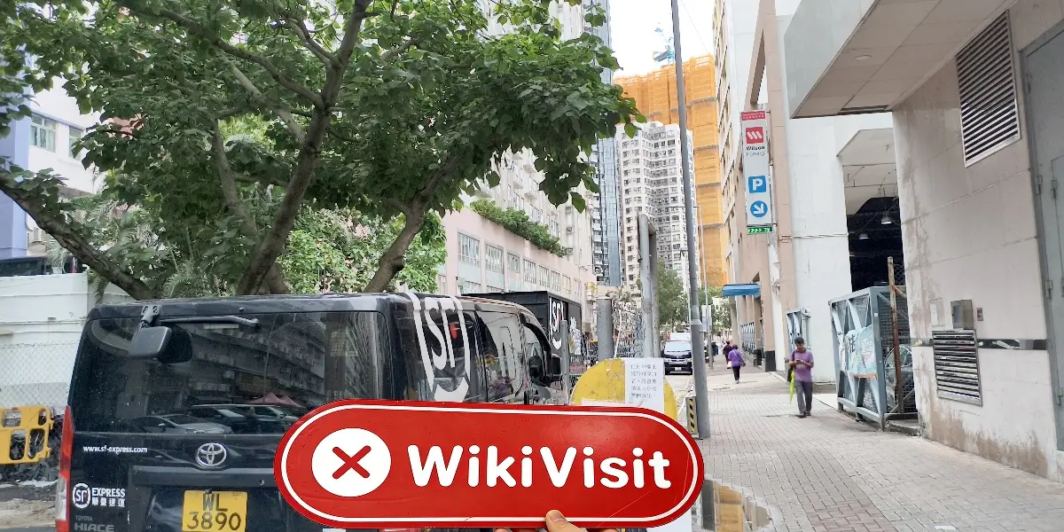 CSV Markets هونغ كونغ  تم التحقق:  لم يتم العثور على وجود مادي