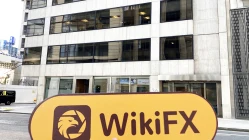 Một chuyến thăm đếnCBF ở Vương quốc Anh - Không tìm thấy văn phòng