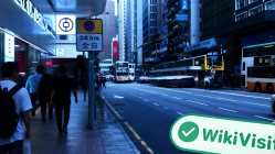 Посещение гонконгского брокера First Шанхай