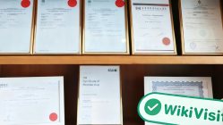 香港探访交易商LION狮子金融 办公规模尚可