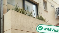 A Site Visit to CB Capital in Cyprus