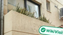 قبرص میں CB Capital کا ایک سائٹ وزٹ