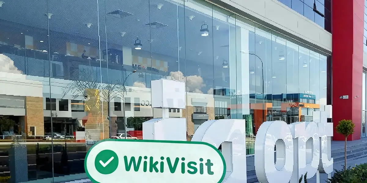 Una visita a IQ Option en Chipre - Dirección regulatoria confirmada como verdadera