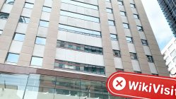 Una visita a Black River en Nueva Zelanda