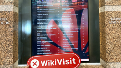 Una visita a Black River en Nueva Zelanda