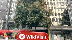 新西兰实地探访交易商GIM 办公地点不存在