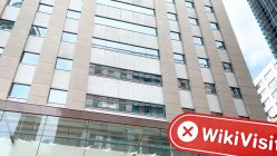 新西兰实地探访交易商FMO · 富曼欧 办公地点不存在