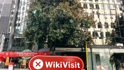 新西蘭實地探訪交易商GGFSG 辦公地點不存在