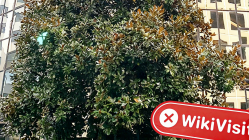 RMFXニュージーランドのオフィスが見つかりません