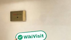 澳大利亚探访交易商FIFEFX 办公场所真实存在