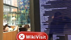 交易商SUNFLOWER · 向日葵澳大利亚办公室不存在