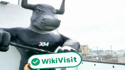 Kıbrıs forex devi anketi XM