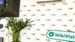 Kıbrıs forex devi anketi XM