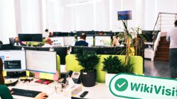 inspección de campo de wikifx al gigante de forex FXTM en Chipre 