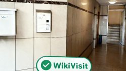 塞浦路斯实地探访交易商Dualix 办公规模尚可