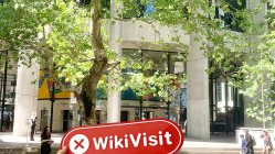 への訪問AMFXオーストラリアで-オフィスが見つからない