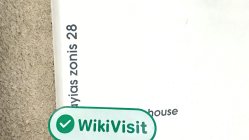 Ein Besuch vor Ort beiTradeberry in Zypern - Arbeitsplatz nicht sehr groß