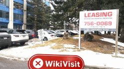 加拿大多伦多实地探访外汇交易商EIGEN FX · 艾根国际 不存在真实展业场所