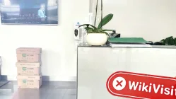 Ein Besuch bei der DevisenbörseFXSHENGDE in Großbritannien - Kein Büro finden