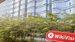 印尼雅加达实地探访外汇交易商OTM Trade 办公规模不确定