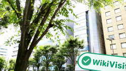 Una visita aKANETSU in Giappone -- L'ufficio ha confermato l'esistenza