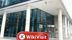 英国伦敦实地探访外汇交易商ASN不存在展业场所