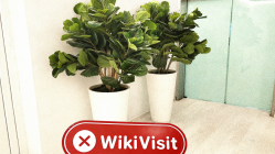 塞浦路斯利马索尔市实地探访外汇交易所BCO 办公场所不存在