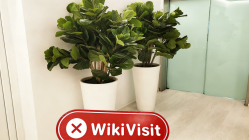 một chuyến thăm đến FX PREMIUM ở Cyprus - không tìm thấy văn phòng