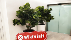 塞浦路斯利馬索爾市實地探訪外匯交易所JFBBI 辦公場所不存在