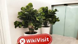 塞浦路斯利马索尔市实地探访外汇交易所JF-D 办公场所不存在