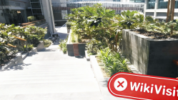 阿联酋迪拜实地探访外汇交易商saxo 办公室已搬迁