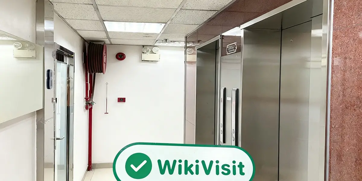 中国香港实地探访外汇交易商Vercap Financial 存在真实展业场所