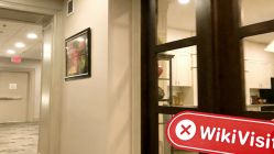 una visita a Illuminati Markets in Canada: nessun ufficio trovato