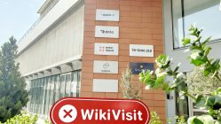 Ein Besuch bei Alvexo in Zypern - kein Büro gefunden