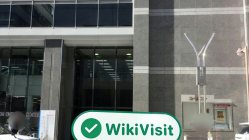 日本实地探访外汇交易商SHIZUGIN TM 存在真实展业场所