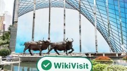 中国香港实地探访外汇交易商GFQH存在真实展业场所