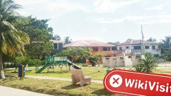 A Visit to SMFX in Belize - No Office Found