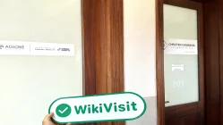 Seyşeller'deki T4Trade Ziyareti - Ofis Bulundu