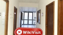 塞舌尔实地探访外汇交易商XBPrime  不存在真实展业场所