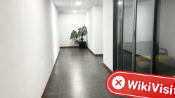 Ein Besuch bei Tradershub auf den Seychellen - Kein Büro gefunden